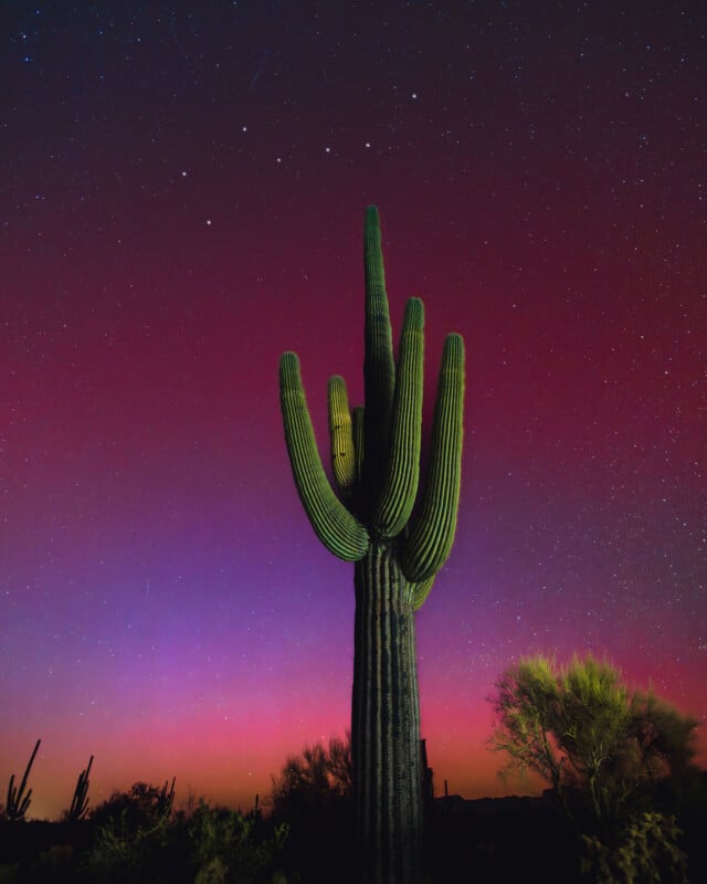 A large saguaro cactus stands silhouetted against a vibrant sunset sky with hues of purple, pink, and orange. Stars are visible in the darkening sky, while desert vegetation surrounds the cactus.