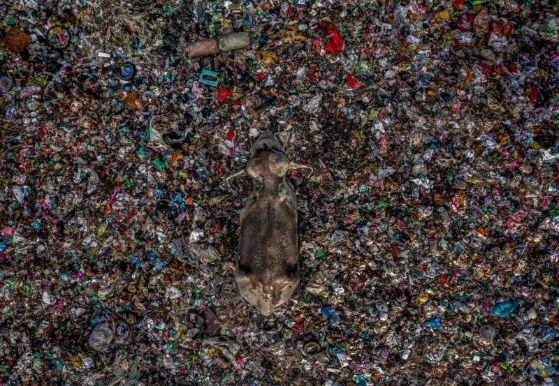 Aerial view of a large pile of assorted trash, predominantly plastic and debris. Among the waste, there is a lifelike sculpture of a human figure lying in the center, blending with the surrounding garbage.