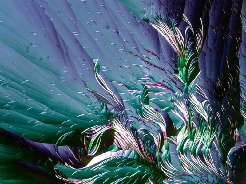 Abstract image with swirling patterns in shades of blue, green, and purple. The design resembles fluid brushstrokes or intricate feathers, creating a sense of dynamic motion and texture.