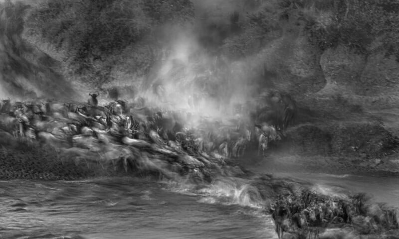 A dynamic black and white image captures a herd of wildebeests crossing a turbulent river, with water splashing and dust rising, set against a backdrop of rocky terrain.