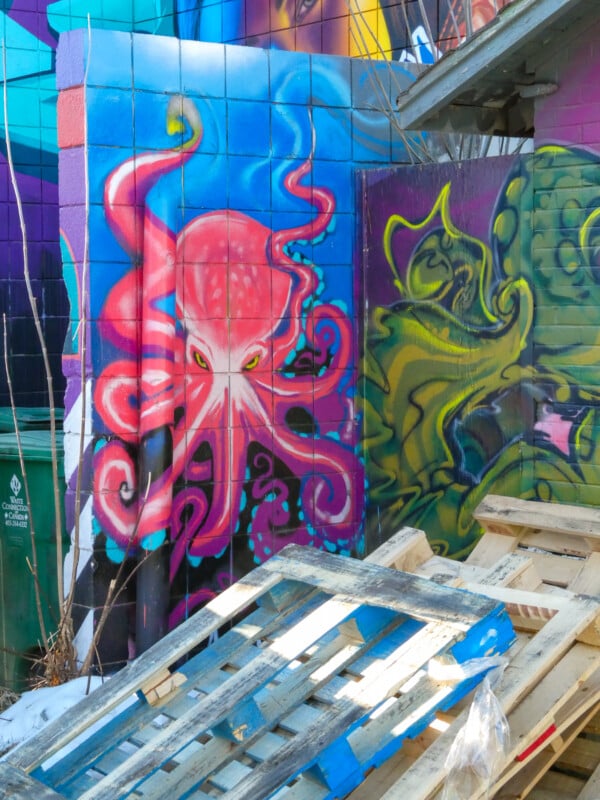 A vibrant mural of a pink octopus with swirling tentacles painted on a blue wall. Nearby, colorful abstract shapes adorn the adjacent building. Wooden pallets and discarded items are scattered in the foreground, adding an urban feel.