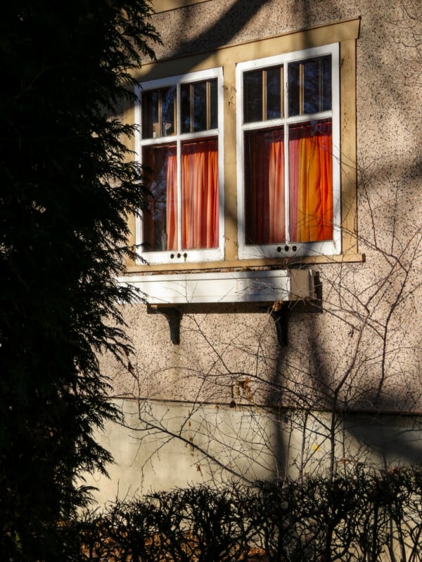 A building wall with two side-by-side windows featuring red and orange curtains. Shadows of tree branches are cast on the wall, and a bush is partially visible in the foreground.