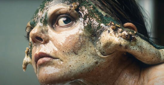 A person with a detailed, textured prosthetic resembling an amphibian or reptilian creature on their face. The design includes green and brown tones with bumps and textures, covering the skin completely. The person looks upward, revealing expressive eyes.