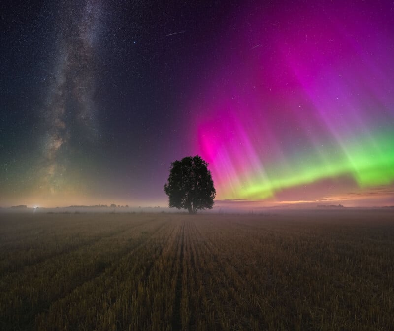 A solitary tree stands in a field under a vibrant night sky. The Milky Way stretches across the left, while colorful auroras in shades of pink and green illuminate the right. A soft mist lies over the landscape.