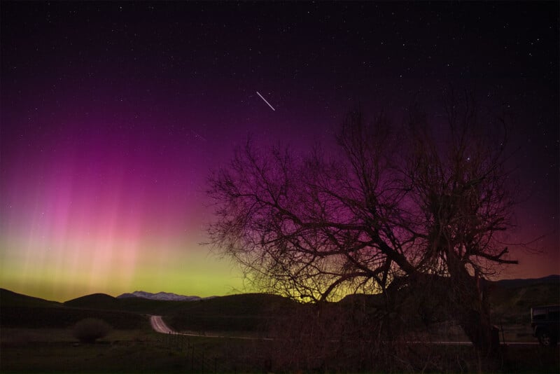 A breathtaking view of the night sky with vibrant purple and green auroras illuminating the horizon. A silhouette of a tree stands in the foreground, and stars twinkle above in the vast, dark sky.