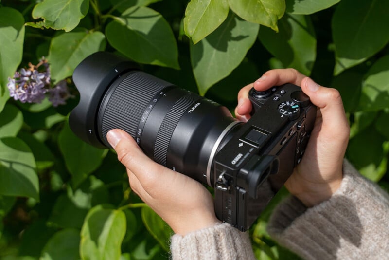 Hands holding a black camera with a large zoom lens, aimed at a blooming plant with green leaves. The camera is positioned for a close-up photo, and the scene is outdoors in natural light.