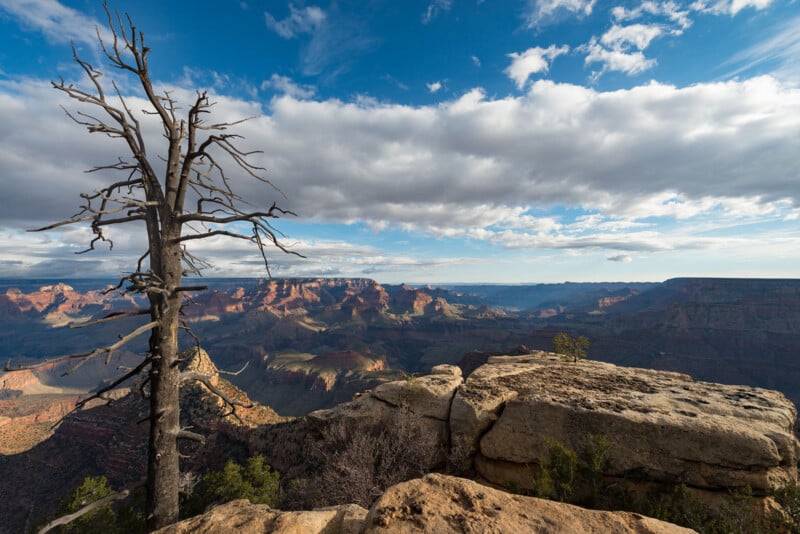 A scenic view of the Grand Canyon under a partly cloudy sky. A leafless tree⁣ stands prominently ​in the foreground, adjacent to ‍rocky terrain,⁢ with expansive canyon ⁣vistas ⁤and shadows cast by⁣ clouds in the ⁤background.