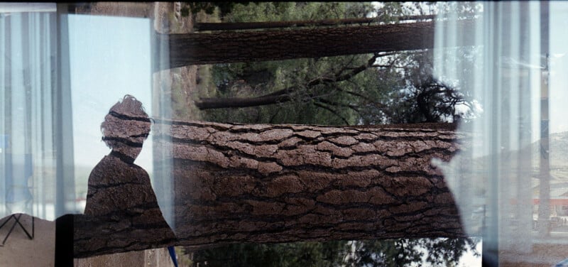 A surreal image showing the silhouette of a person against a large tree trunk, layered with reflections of trees and glass. The combination creates an abstract and dreamlike scene.