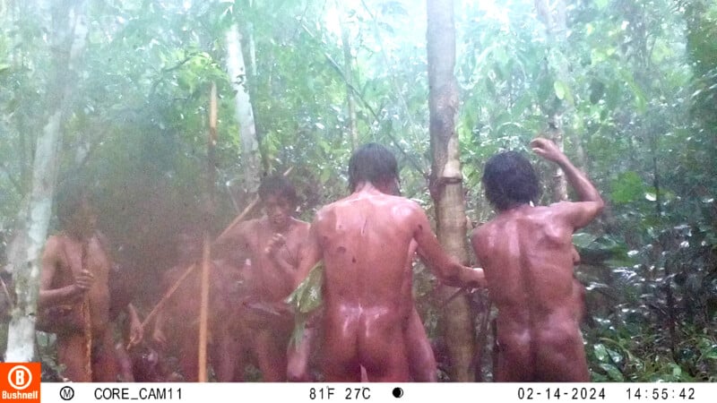 A group of people standing in a lush, misty forest. They appear to be holding long sticks or spears, surrounded by thick trees and foliage. The scene is captured in a natural, humid environment.