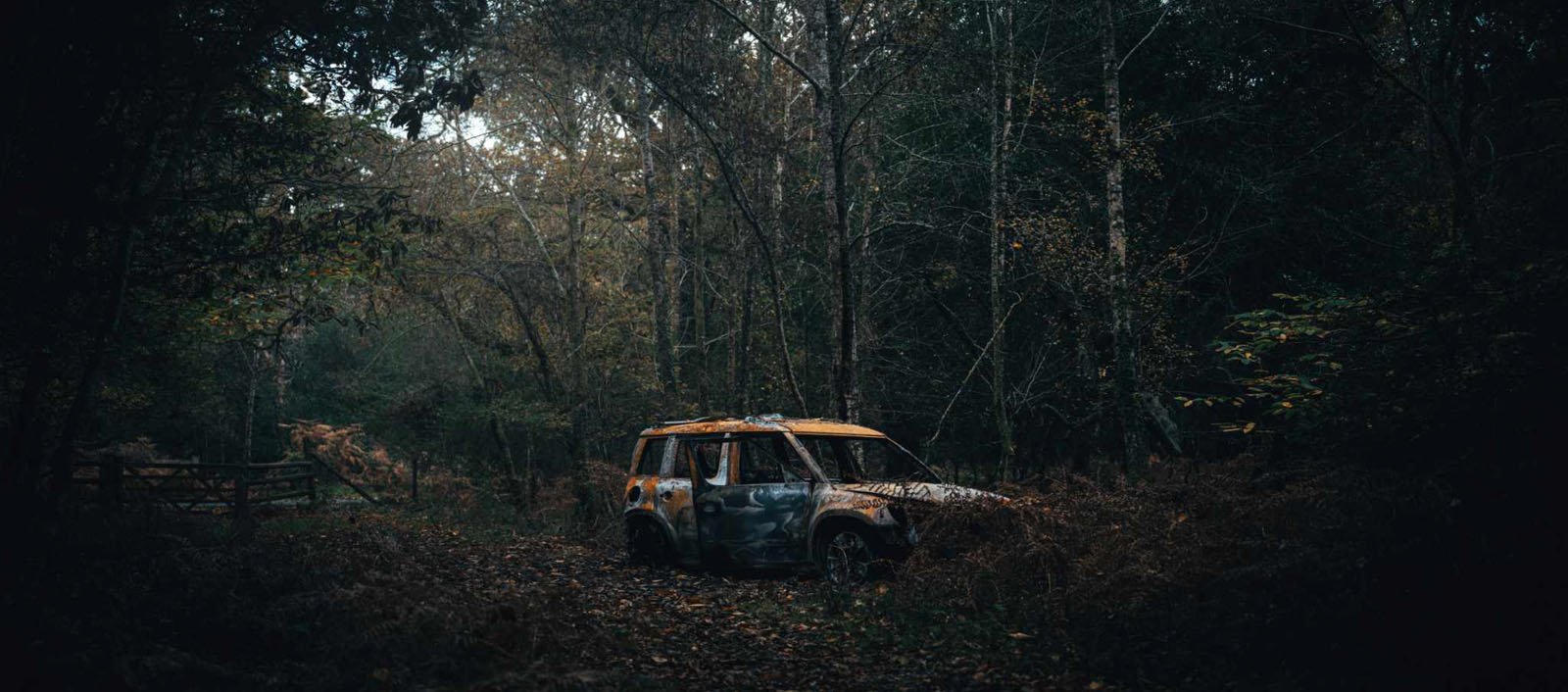 An abandoned, rusty car sits in a dense, dark forest surrounded by tall trees and overgrown vegetation, conveying a sense of isolation and mystery in the wilderness.