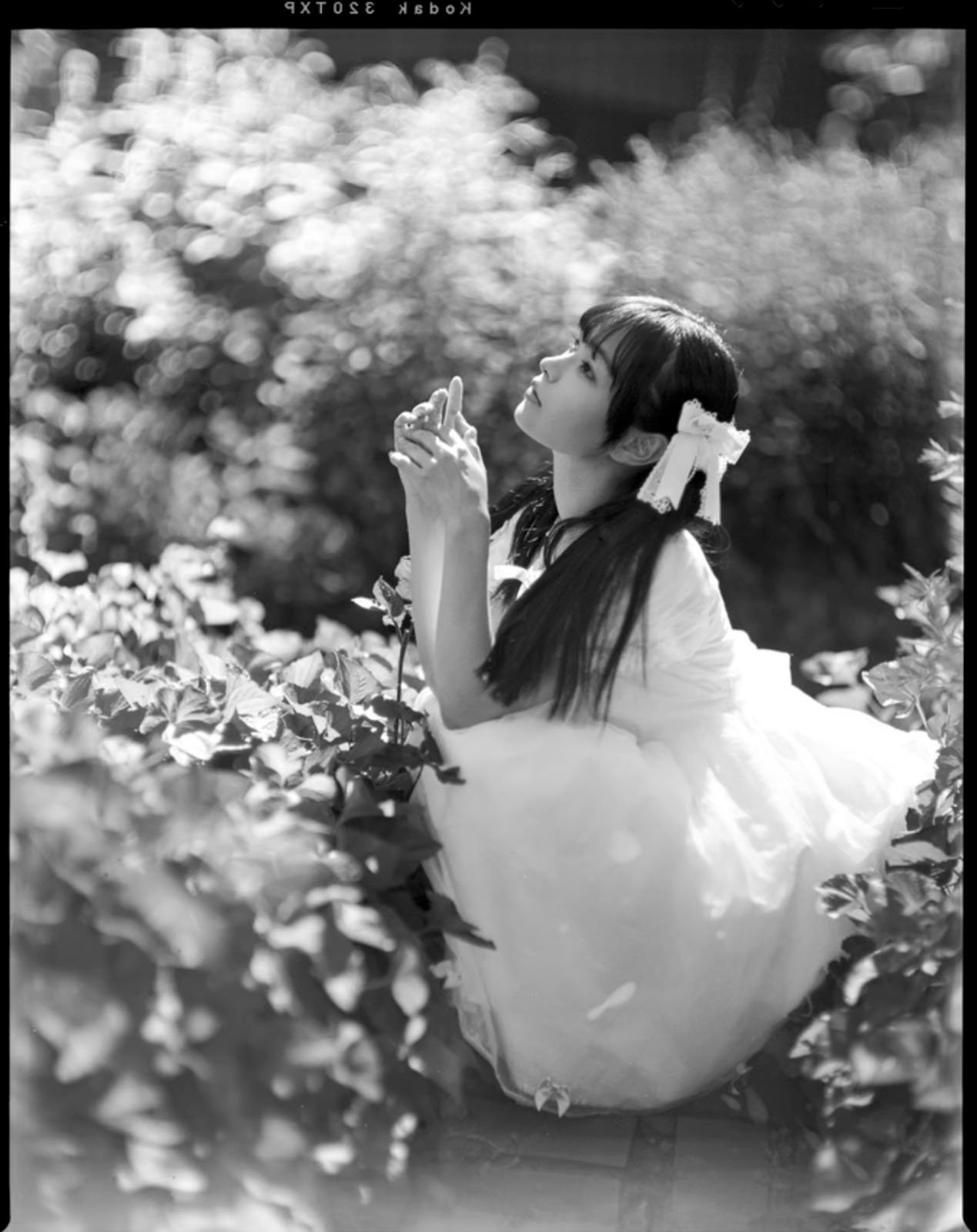 A woman in a white dress kneels amidst lush foliage, looking upwards with a thoughtful expression. Her long hair is styled with a bow, and soft sunlight filters through the leaves, creating a serene and ethereal atmosphere.