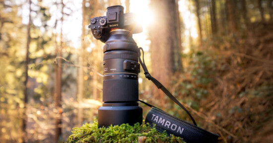 A camera with a large lens on a tripod is set up in a forest. Sunlight filters through the trees, casting a warm glow. The camera is branded with "Sony," and the lens strap reads "Tamron." Moss covers the base of the tripod.