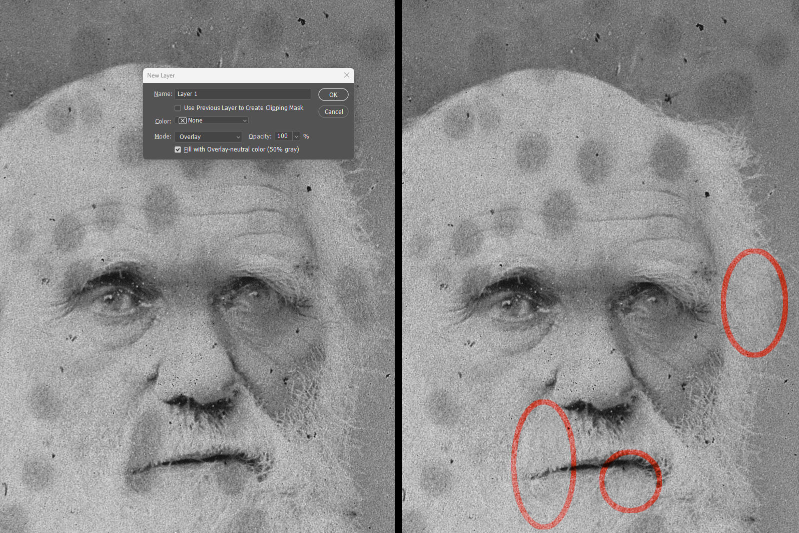 Healing Tools in Photoshop: Picking the Right One | PetaPixel