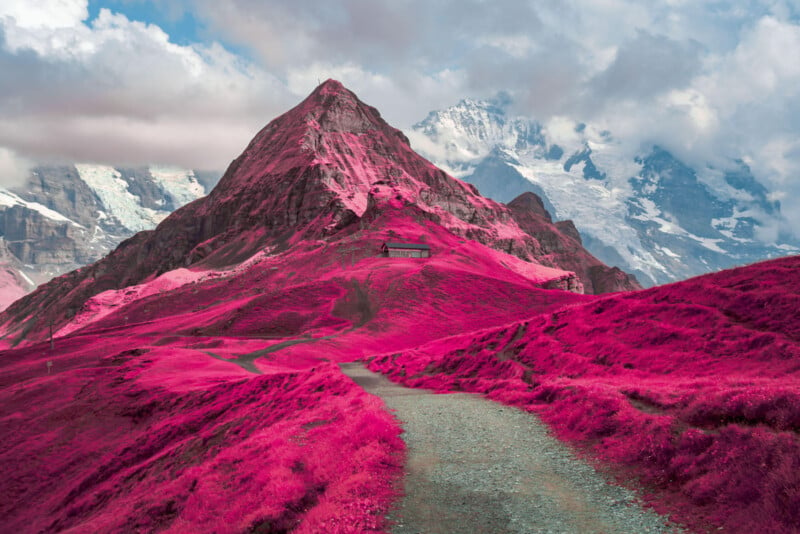 A surreal landscape with a mountain path leading to a small building. The scene features a vibrant pink foreground and rocky peaks under a cloudy sky, creating a striking contrast.