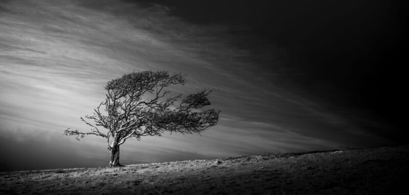 A lone tree stands against a striking, cloudy sky on a windswept terrain. Its limbs are bent in a single direction, suggesting powerful breezes. The black and white image accentuates the stark allure of the environment.