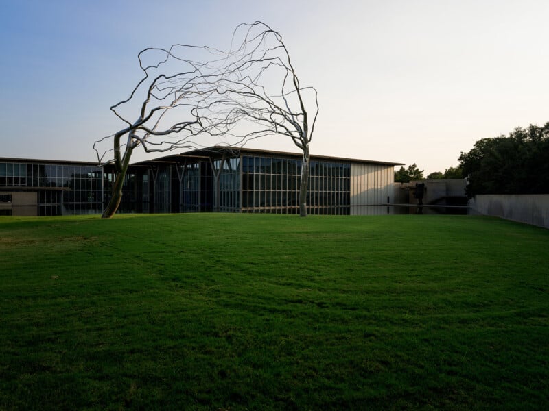 A contemporary building featuring large glass windows, surrounded by a vibrant green lawn. In front stands an abstract metal tree sculpture with twisting branches set against a clear sky.