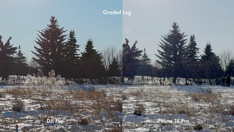 Side-by-side comparison of a snowy field with trees, captured by DJI Flip on the left and iPhone 16 Pro on the right. The image is labeled "Graded Log" and shows differences in color and exposure between the two cameras.