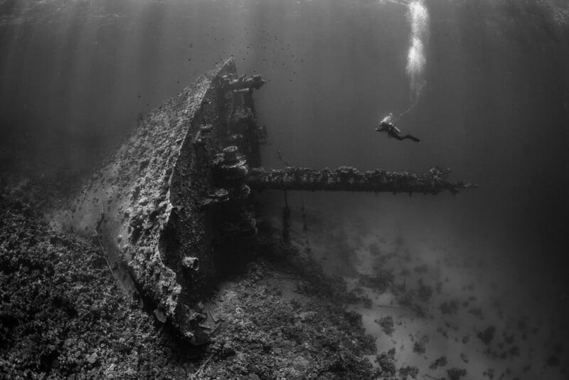 A scuba diver explores a large shipwreck resting on an ocean floor, covered in marine life. Sunlight filters through the water above, illuminating the scene in shades of gray.