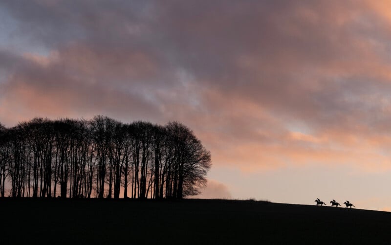 Silhouetted against a dramatic sunset sky, three horse riders gallop along a ridge beside a line of bare trees. The soft gradient of dusk colors the clouds, creating a peaceful yet dynamic scene.