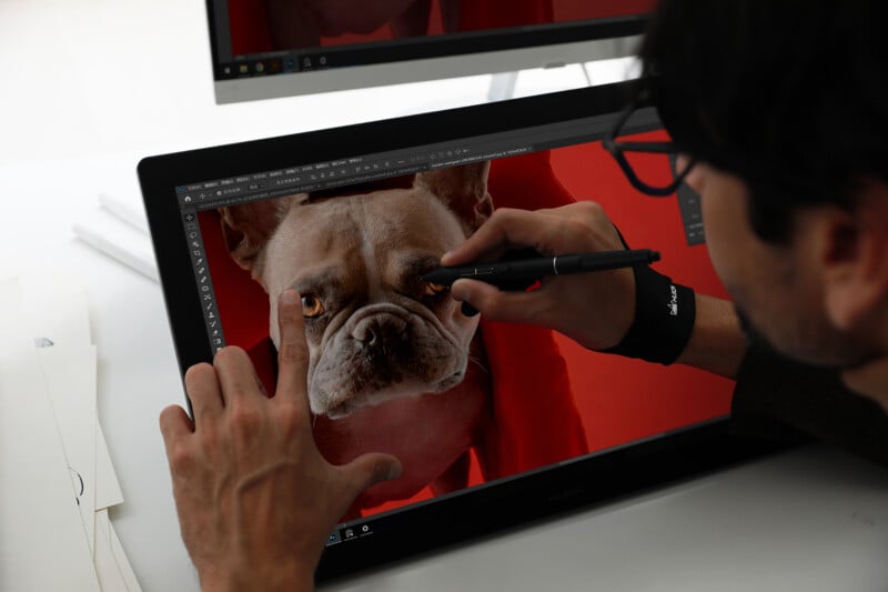 A person uses a digital pen to edit a photo of a bulldog displayed on a graphic tablet. The image shows a close-up of the dog's face against a red background, with editing software tools visible on the screen.