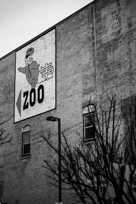 Black and white photo of a brick building wall featuring a large cartoon bear painting above the word "ZOO." A leafless tree is in the foreground, and the sky is overcast.