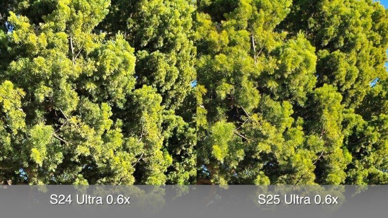 Side-by-side comparison of two images showing a dense green tree canopy. The left image is labeled "S24 Ultra 0.6x," and the right image is labeled "S25 Ultra 0.6x," highlighting differences in color and detail.