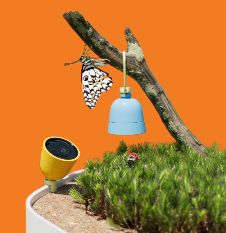 A whimsical scene with a butterfly on a branch, a blue lamp, a ladybug on grass, and a yellow security camera against a bright orange background.