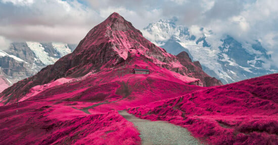 A picturesque mountain landscape with a winding path leading toward a small building. The foreground features vivid pink grass, contrasting with the rocky mountain peaks and cloudy sky in the background.