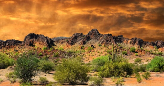 New Mexico border