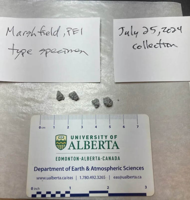 Image of four small rock specimens on a sheet, with handwritten labels reading 'Marshfield, PEI, type specimen' ‌and 'July 25, 2024‌ collection.' A University of Alberta ruler card is placed below the rocks‌ for scale.