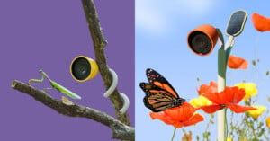 Left side: A yellow camera attached to a tree branch, observing a praying mantis. Right side: An orange camera near vibrant poppies and a butterfly, with a solar panel on a leaf-shaped stand, set against a blue sky.