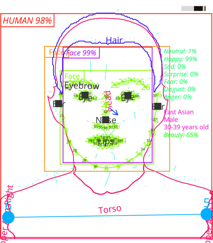 A diagram with overlaid measurements and annotations on a human face outline. Labels indicate facial features like eyebrows, lips, and expressions with percentages. Text notes gender and ethnicity. Various colored lines and boxes outline sections.