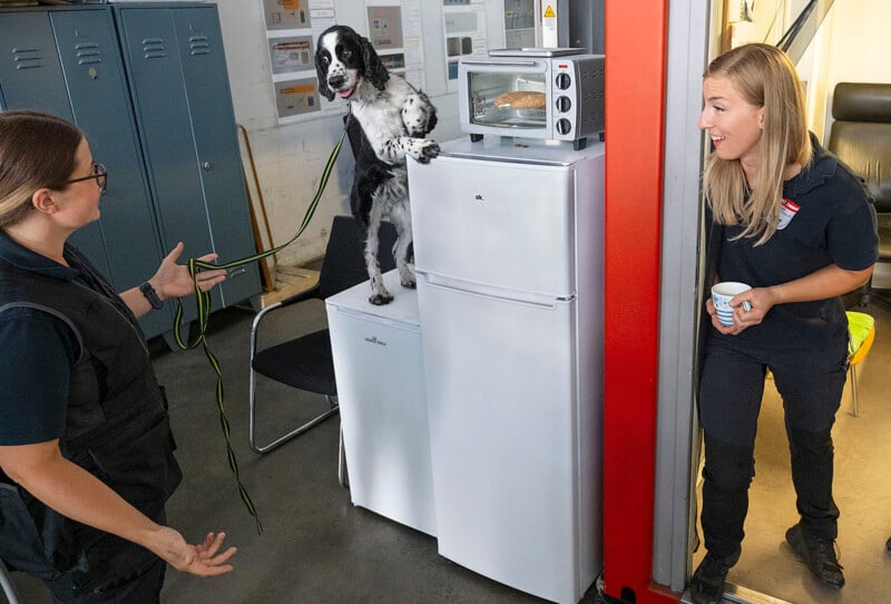 A dog sits on a refrigerator between two standing women. One woman holds a leash, and the other holds a cup, both looking at the dog. The scene is indoors, with lockers in the background and a microwave on the fridge.