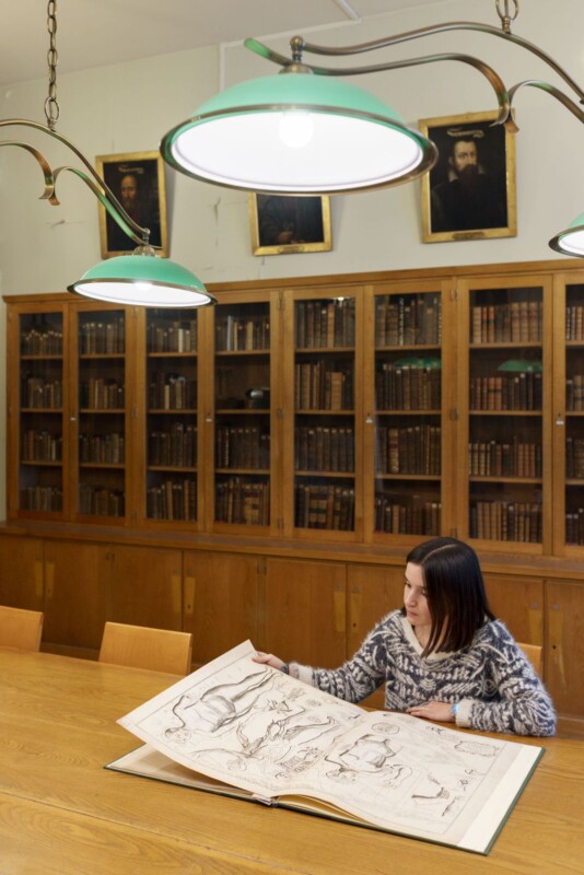 A person with long hair sits at a wooden table in a library, studying a large book filled with detailed sketches of animals. Behind them, bookshelves are lined with numerous books, and portraits hang on the wall above. Green lamps illuminate the room.