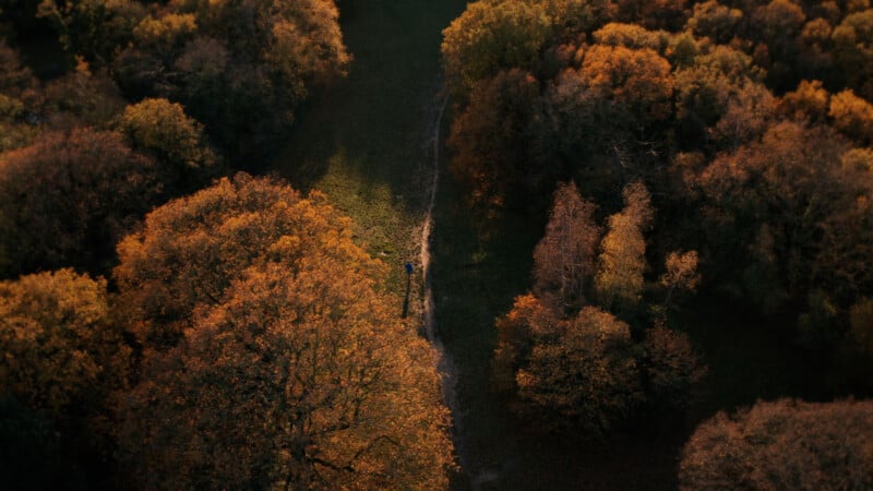 Aerial view of a wooded area in autumn, with trees displaying orange and brown foliage. A narrow path runs through the center, surrounded by dense forest on either side. A small figure walks along the path. Sunlight casts a warm glow over the scene.