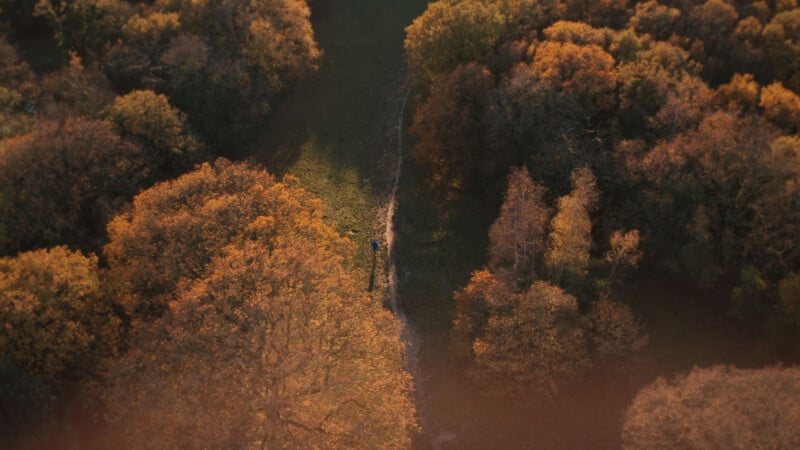 Aerial view of a narrow path cutting through dense autumnal forest, with trees displaying orange and green foliage. A person is seen walking along the path, surrounded by the vibrant colors of fall.