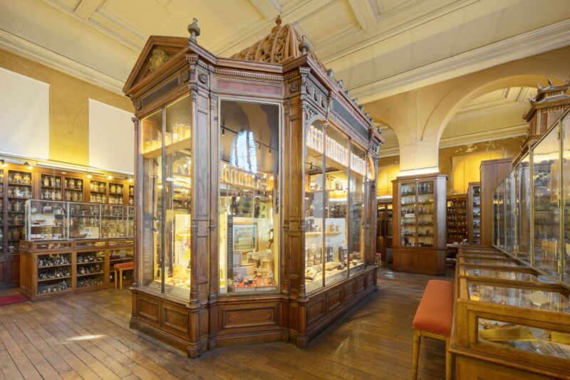 Ornate museum display room with wooden cabinets and glass cases showcasing various artifacts. The room has high ceilings, large windows, and polished wooden floors, creating a historic and scholarly atmosphere.