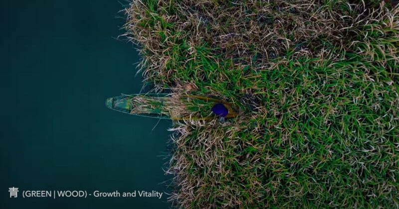 Aerial view of a person in a small boat navigating through dense, grassy reeds on a green body of water. The text on the image reads, "青 (GREEN | WOOD): Growth and Vitality.