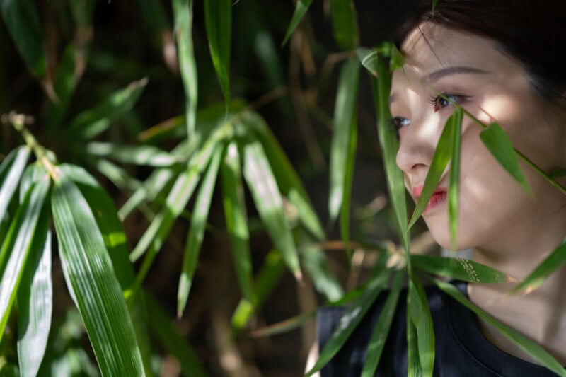 A woman partially obscured by green leaves gazes to the side. Her face is highlighted by sunlight filtering through the foliage, casting shadows and creating a serene, contemplative mood.