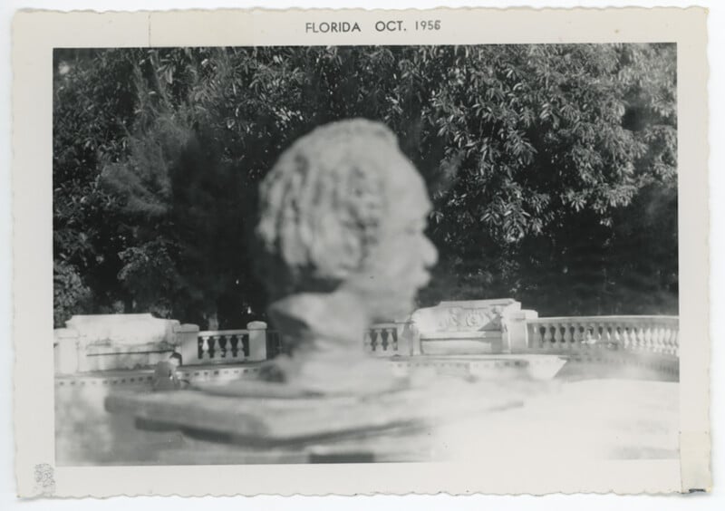 Black and white photo of a stone bust in a garden setting. The sculpture is in the foreground, with trees and foliage blurred in the background. The top edge notes "Florida Oct. 1956.