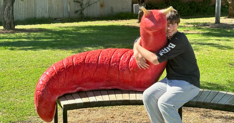 A person is hugging a large, red slug sculpture with horns, sitting on a curved bench in a park. The scene is bright and sunny, with green grass and trees in the background. The person is smiling and wearing a black long-sleeve shirt and gray pants.