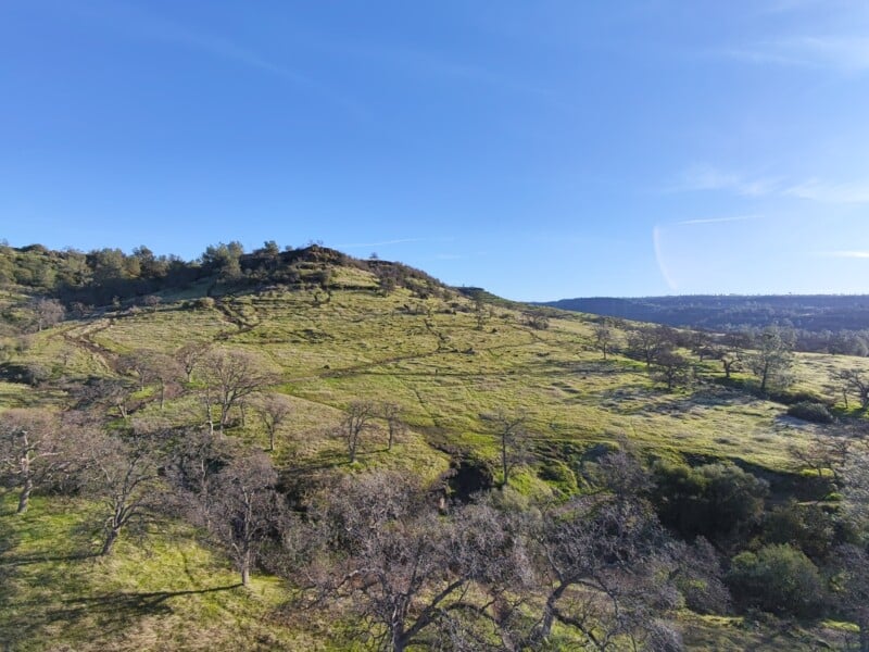 A scenic view of a gently sloping hillside covered in grass and scattered trees under a clear blue sky. Trails meander across the landscape, and distant hills are visible in the background.