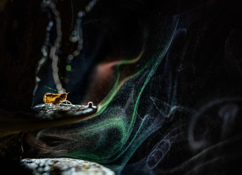 A small moth with golden-brown wings perches on a dark surface, illuminated against a backdrop of swirling, colorful smoke-like patterns in shades of green, blue, and red, creating a mysterious and atmospheric scene.