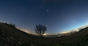 A lone tree stands on a grassy hill under a starry night sky. The horizon glows with city lights, and the sky above is clear, displaying numerous stars.