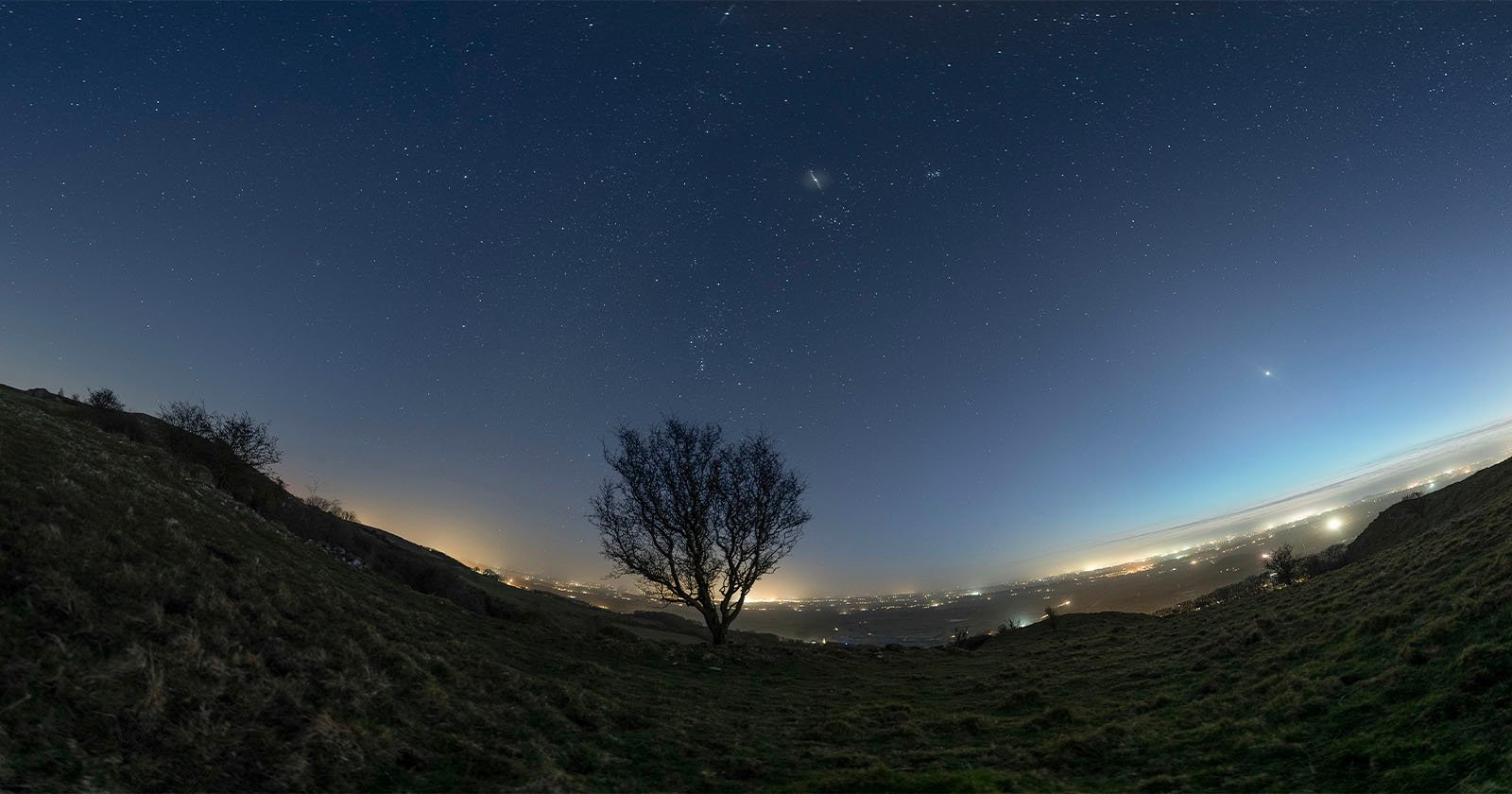 A lone tree stands on a grassy hill under a starry night sky. The horizon glows with city lights, and the sky above is clear, displaying numerous stars.