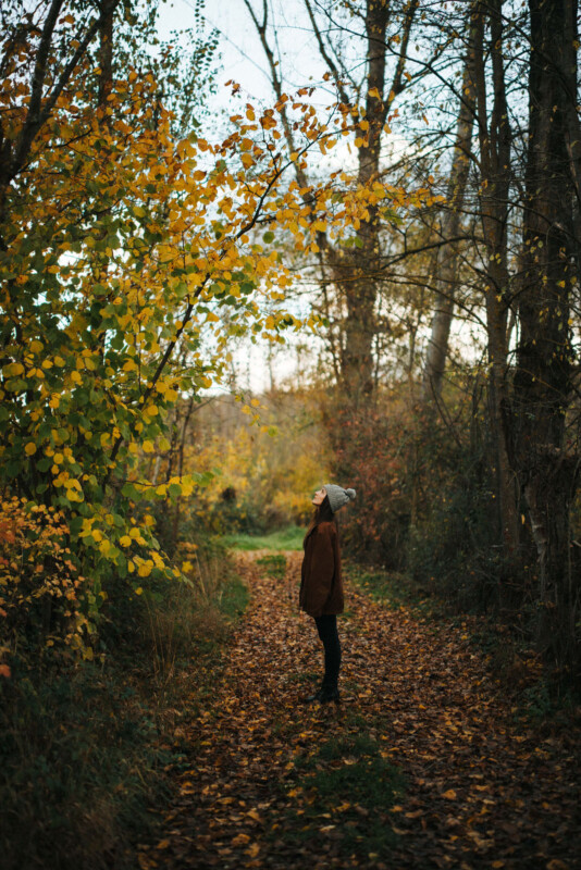 A person in a brown coat and gray beanie stands on a leaf-covered path, looking up at the autumn leaves. Tall trees create a canopy overhead, with vibrant yellow and green foliage. The scene is peaceful and atmospheric.