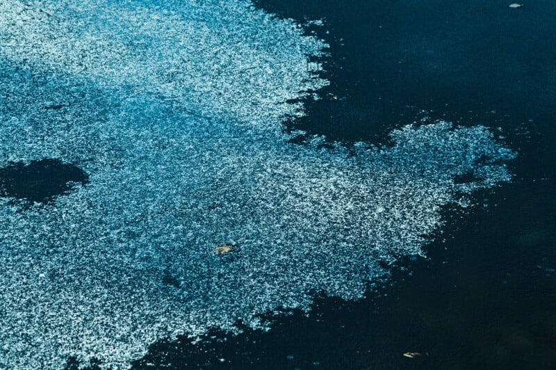 A patch of light blue, textured material contrasts against a dark background, resembling splattered paint or scattered powder on a flat surface.