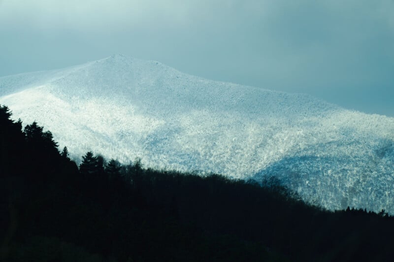 Snow-covered mountain peak under a cloudy sky, with dark silhouettes of trees in the foreground. The sunlight highlights the snowy texture on the mountain slopes, creating a stark contrast with the shadowed forest below.