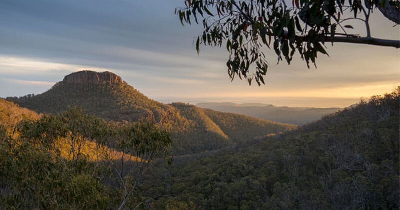 Sunset view of a rugged, forested landscape with a distinctive, flat-topped mountain in the distance. The sky is partly cloudy, casting a warm, golden light over the scenery. Eucalyptus branches frame the foreground.