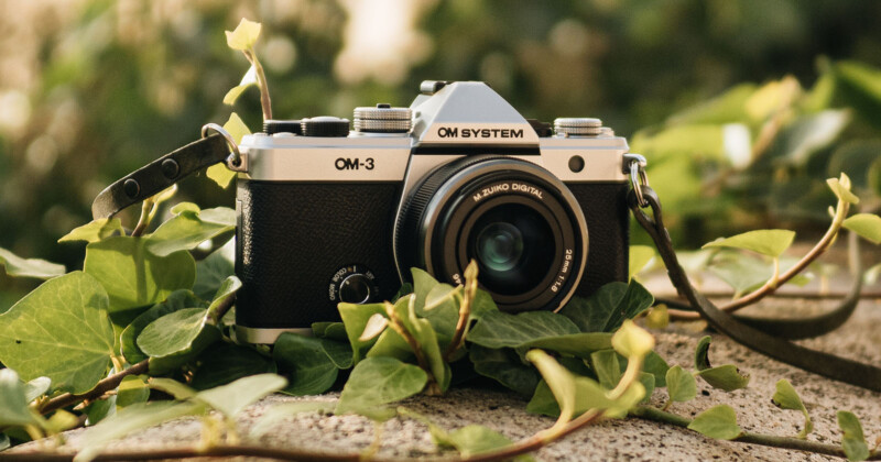 A vintage-style camera labeled "OM System" and "OM-3" is surrounded by green ivy leaves on a stone surface. The scene is outdoors with a blurred leafy background, giving a natural, rustic feel.